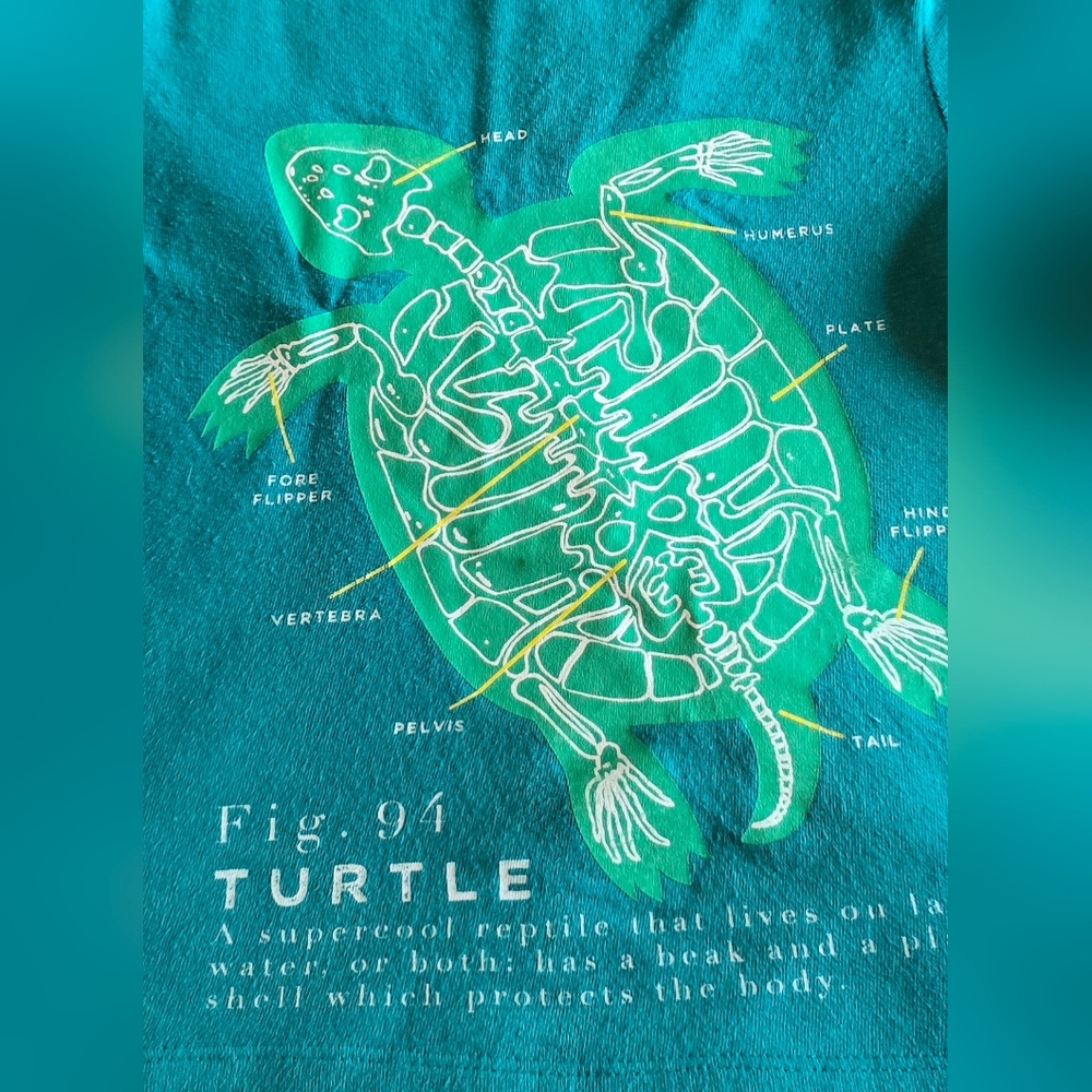 2T Old Navy Teal Gree  Turtle Reptile Diagram T-Shirt Science Zoology Zoo